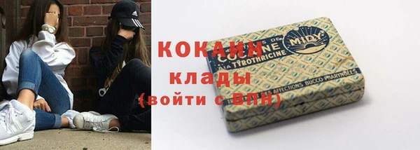 ALPHA PVP Богородицк
