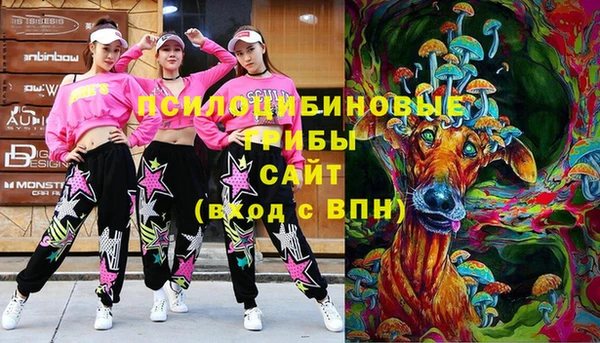 МДПВ Богданович