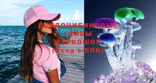 ALPHA PVP Богородицк