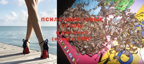 МДПВ Богданович